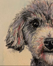 Load image into Gallery viewer, CUSTOM Watercolor Pet Portrait

