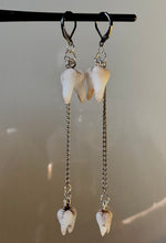 Load image into Gallery viewer, Molar Pairs- Fidget Earrings
